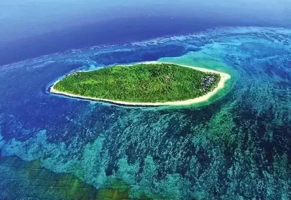 失忆的流浪者